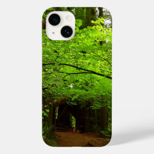 Ahornbäume im Redwood-Wald Case-Mate iPhone Hülle