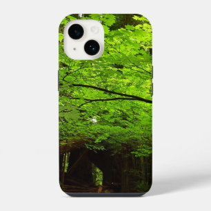 Ahornbäume im Redwood-Wald iPhone Hülle