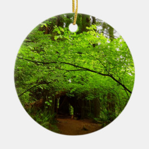 Ahornbäume im Redwood-Wald Keramikornament