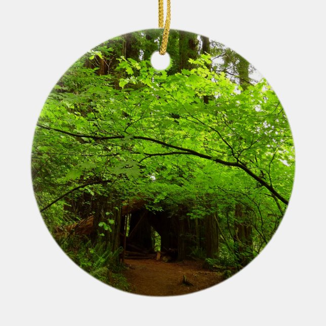 Ahornbäume im Redwood-Wald Keramikornament (Vorne)