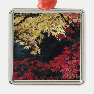 Ahornbäume in Herbstfarbe Ornament Aus Metall