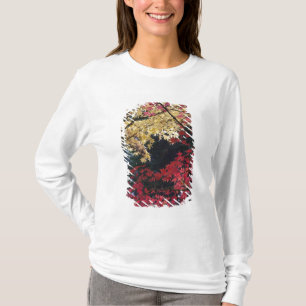 Ahornbäume in Herbstfarbe T-Shirt
