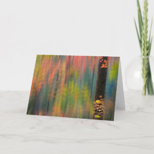 Ahornbäume   Silver Falls Staat Park Karte