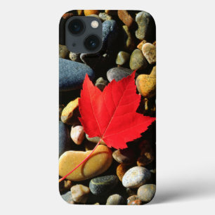 Ahornblatt auf einem Felsvorsprung Case-Mate iPhone Hülle