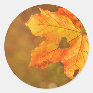 Ahornblatt-Herz Runder Aufkleber