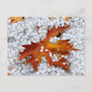 Ahornblatt im Herbst in echtem Hagel - Dramatische Postkarte