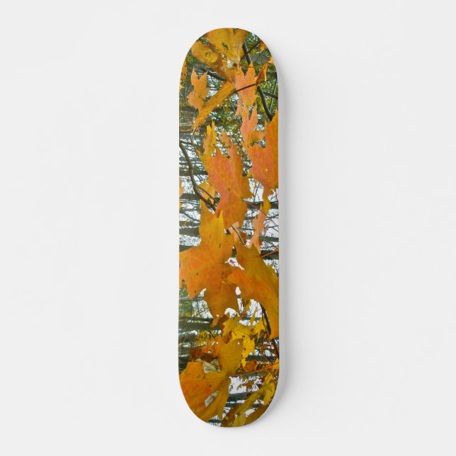 Ahornblättern Skateboard (Vorne)