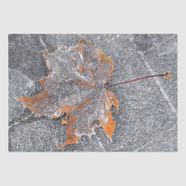 Ahornblättriger Orangengrau Herbst Seidenpapier (Vorderseite)