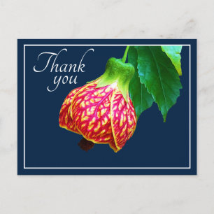 Ahornblüte Blau Hintergrund Danke Postkarte