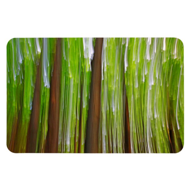 Ahorngrove Abstrakt Magnet (Horizontal)