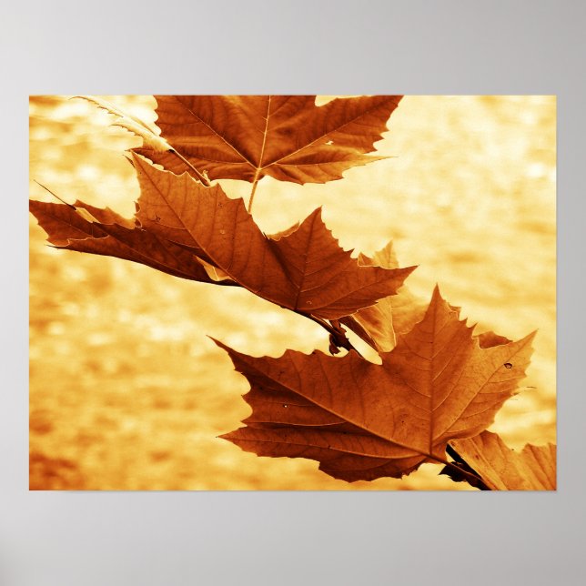 Ahornleaf Canvas Print Poster (Vorne)