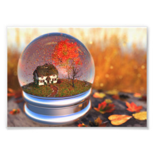 Ahornleaf Globe Foto drucken