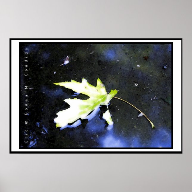 Ahornleaf I Poster (Vorne)