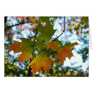 Ahornleaf-leaf-Karte