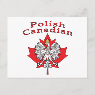 Ahornleaf mit polnisch-kanadischem Hintergrund Postkarte