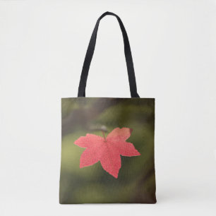 Ahornleaf Nature Foto
