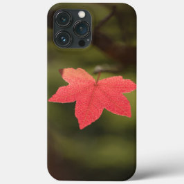 Ahornleaf Nature Foto Case-Mate iPhone Hülle