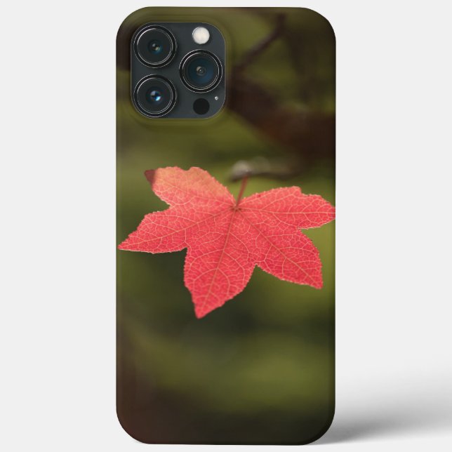 Ahornleaf Nature Foto Case-Mate iPhone Hülle (Rückseite)