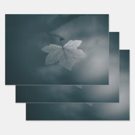 Ahornleaf Nature Foto Geschenkpapier Set