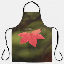 Ahornleaf Nature Foto