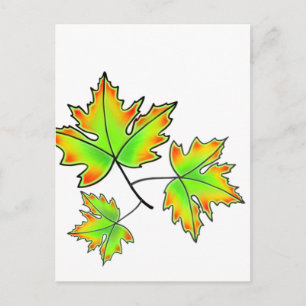 Ahornleaf Postkarte