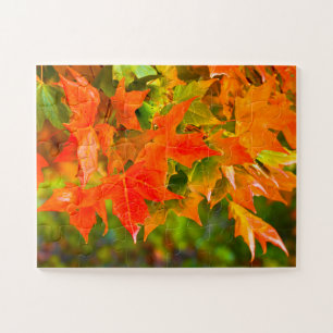 Ahornleaf Puzzle