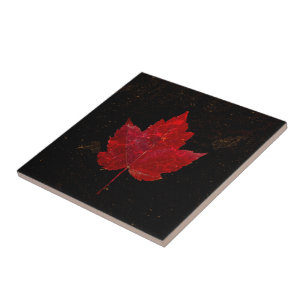 Ahornleaf Red Black Gold Country Fall Textur Fliese