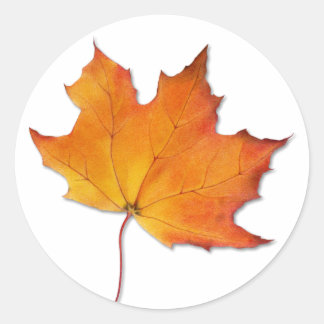 Ahornleaf-Sticker Runder Aufkleber