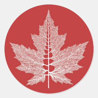 Ahornleaf-Venen-Aufkleber (rot) Runder Aufkleber
