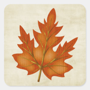 Ahornleder Herbst Quadratischer Aufkleber