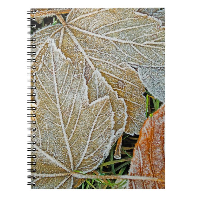AhornNotebook Notizblock (Vorderseite)