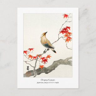Ahornpilzvogel - Ohara Koson - Postkarte