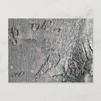 Ahornrinde Postkarte