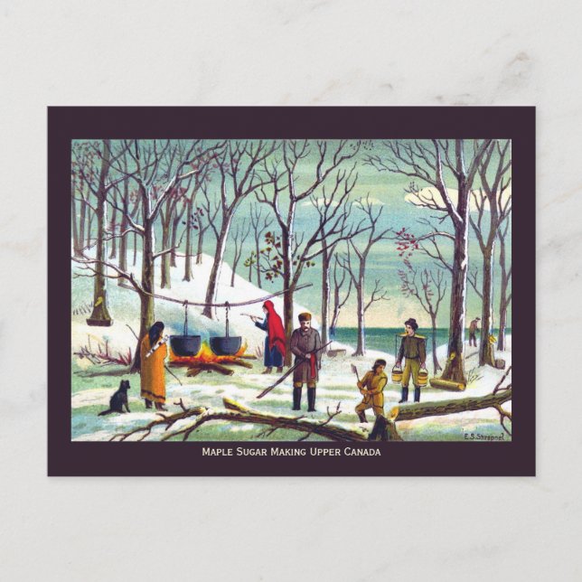 Ahornsirup Zucker Maximierung Oberkanadas Postkarte (Vorderseite)