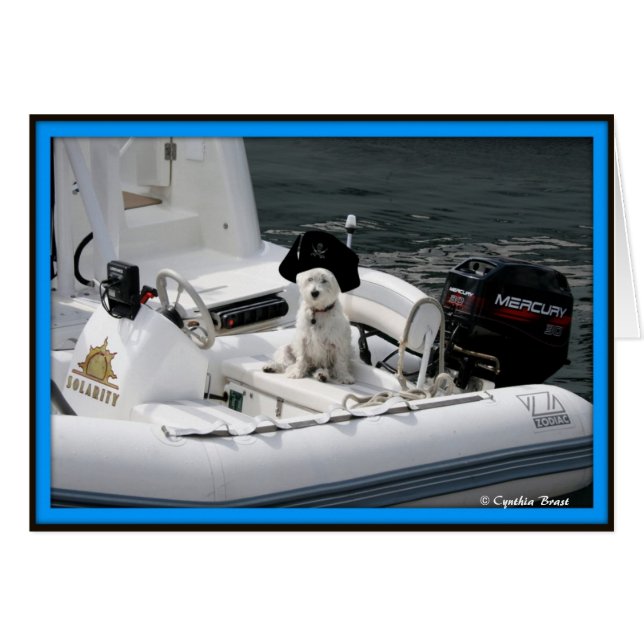 Ahoy Matey (Vorderseite (Horizontal))