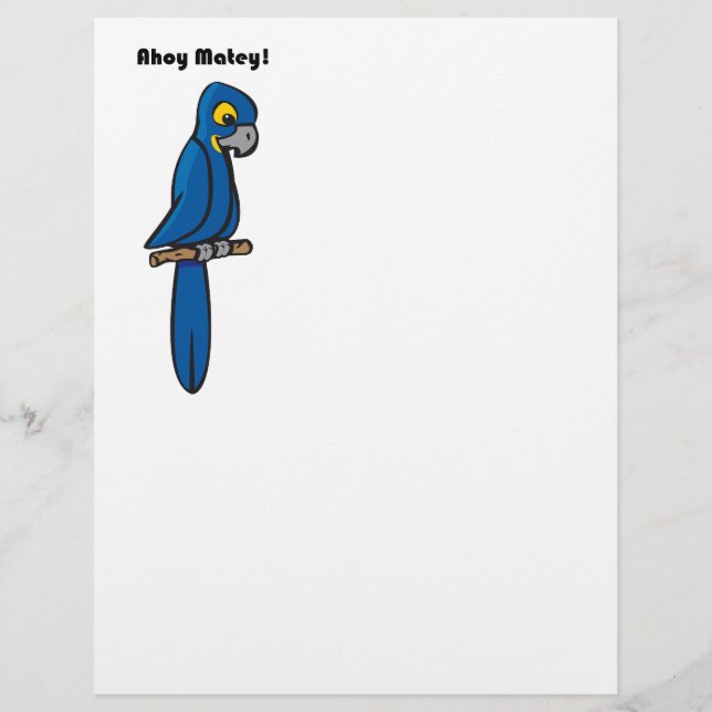 Ahoy Matey Pirate Parrot Cartoon, Funny Macaw Bird (Vorderseite)