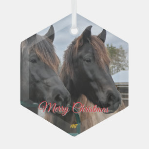 AHT-Pferdescue Ornament Aus Glas