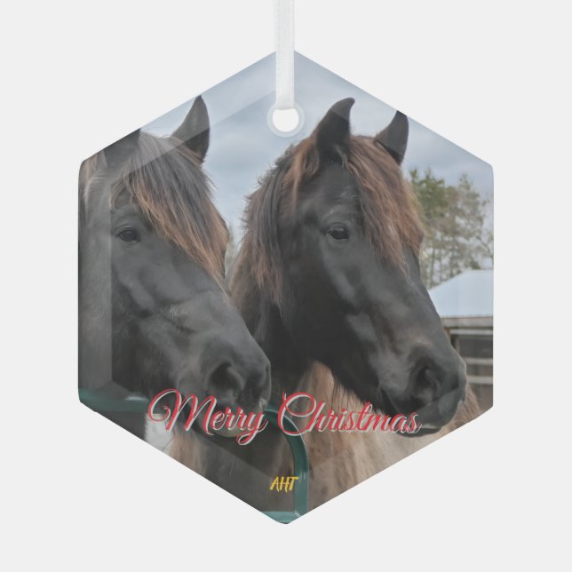 AHT-Pferdescue Ornament Aus Glas (Vorderseite)