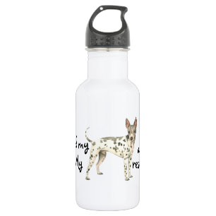 AHT Rescue Edelstahlflasche