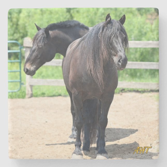AHT Sherrif & Goliath Steinuntersetzer (Vorderseite)