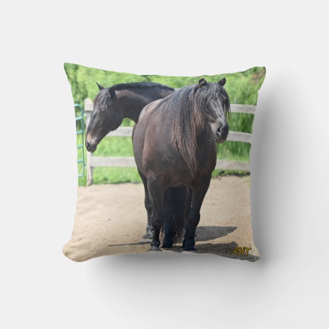 AHT Throw Pillow Kissen (Vorderseite)