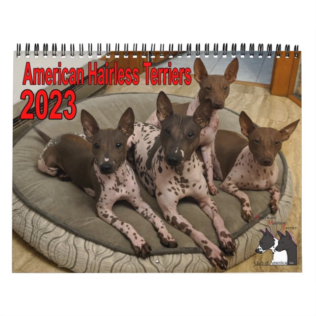 AHTCA 2023 American Hairless Terrier Calendar Kalender (Titelbild)