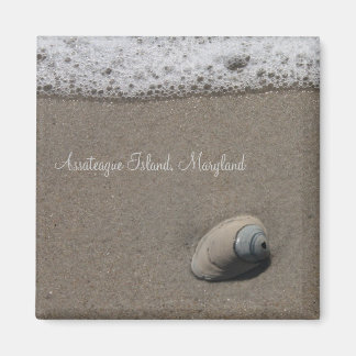 AI Clam Muschel Magnet