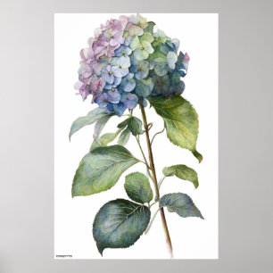 AI generierte Kunst Blue Hydrangea Vintage Wandkun Poster