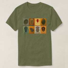 Aight Fossil Trilobites T-Shirt