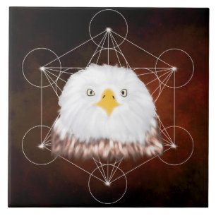 aigle metatron fliese