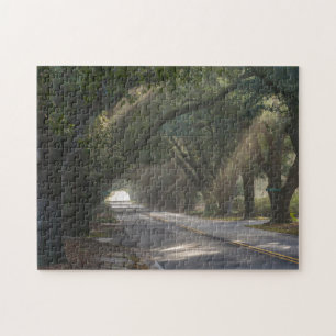 Aiken, SC, South Boundary Ave. Lebender Eichentunn Puzzle