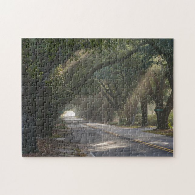 Aiken, SC, Südgrenze Ave. Oak-Tunnel Puzzle (Horizontal)