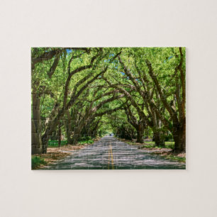 Aikens südlich-grenzenloses Puzzle