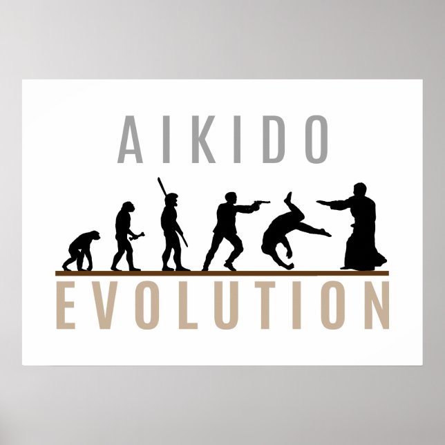 Aikido-Evolution Poster (Vorne)